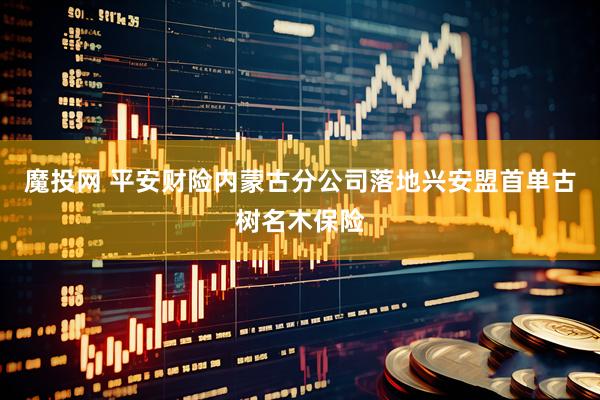 魔投网 平安财险内蒙古分公司落地兴安盟首单古树名木保险