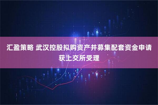 汇盈策略 武汉控股拟购资产并募集配套资金申请获上交所受理