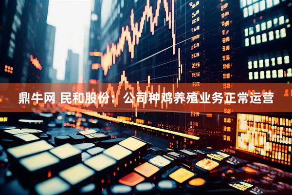 鼎牛网 民和股份：公司种鸡养殖业务正常运营