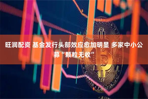 旺润配资 基金发行头部效应愈加明显 多家中小公募“颗粒无收”