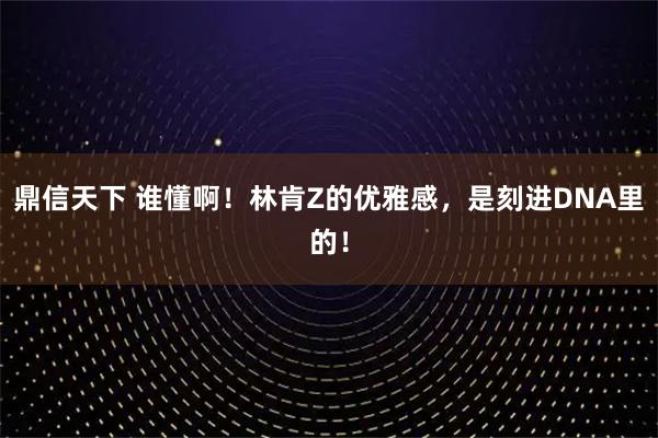 鼎信天下 谁懂啊！林肯Z的优雅感，是刻进DNA里的！