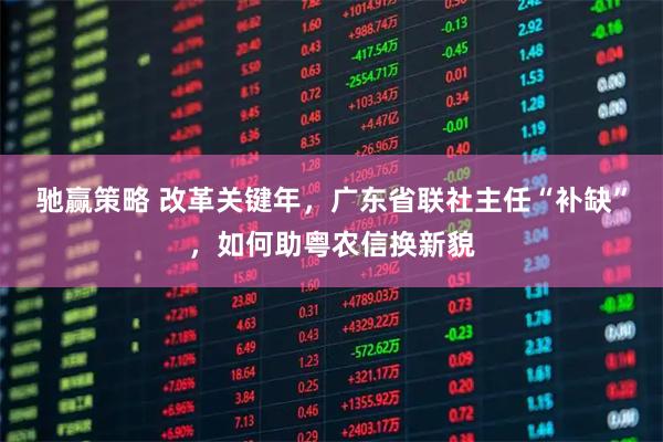 驰赢策略 改革关键年，广东省联社主任“补缺”，如何助粤农信换新貌